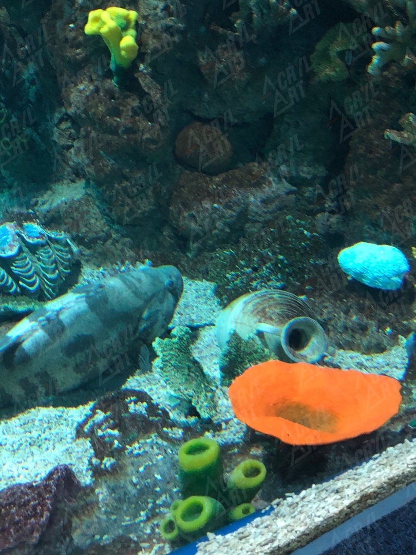 Искусственные кораллы для аквариумов